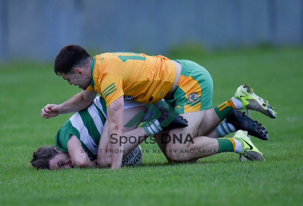 harp’s beat hoops in relegation&nbsp;battle