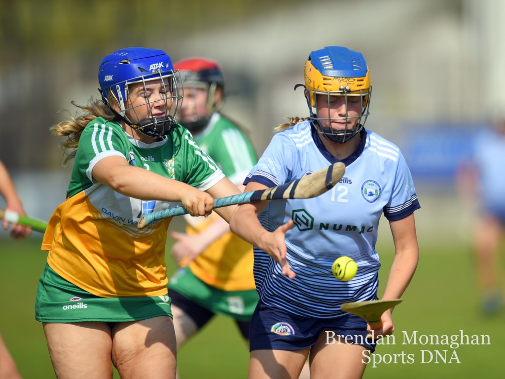 down intermediate camogie&nbsp;championship